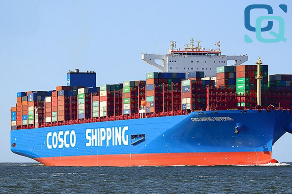 Top 20 Các Hãng Tàu Lớn Nhất Thế Giới 2025