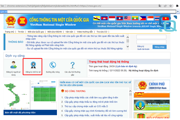 Hướng dẫn chi tiết các bước khai báo MNF 2026