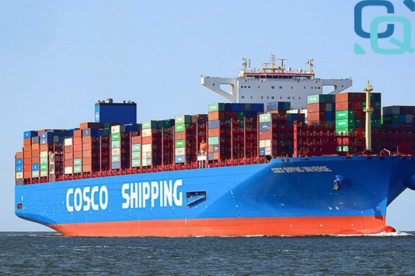 Các Loại Tàu Chở Hàng Trong Vận Tải Biển 2026